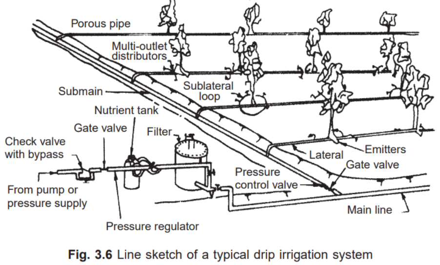 Trickle Irrigation